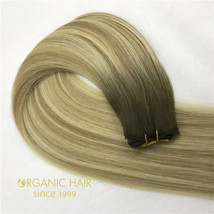 Wholesale human remy hand tied weft customized color T4P18/22 X401