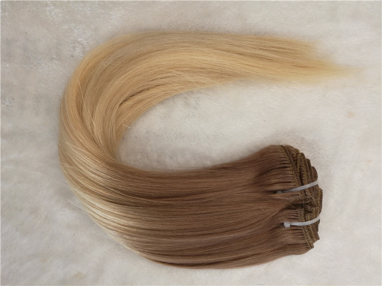 Remy human hair clip ins hair extension, double drawn, ombre color, one donor hair  h25