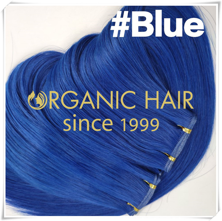 Realize your dream of blue hair extensions this summer  C0103