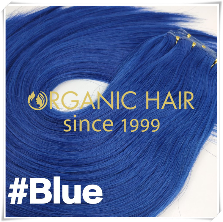 Realize your dream of blue hair extensions this summer  C0103