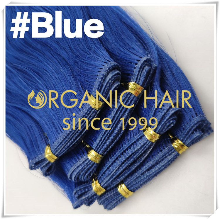 Realize your dream of blue hair extensions this summer  C0103