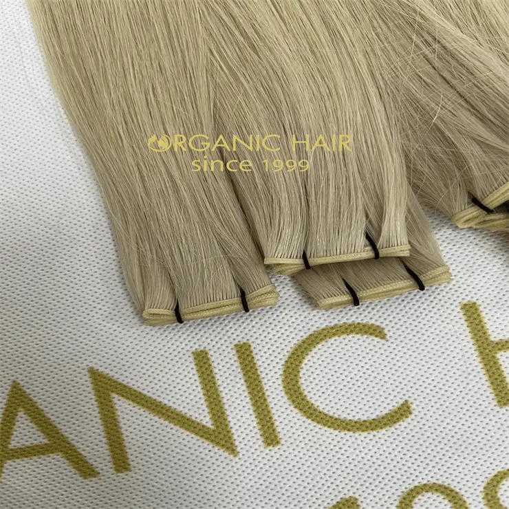 2023 Genius weft hair extensions wholesale H30