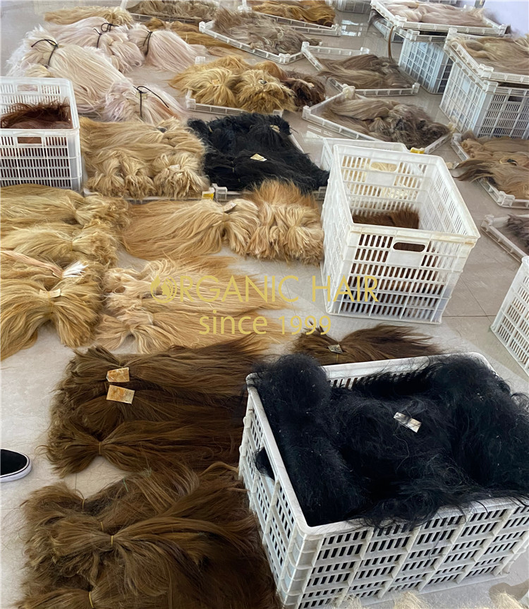 Top supplier of hair extensions in China-rb127