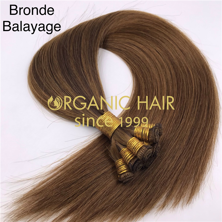 Bronde balayage hand tied weft extensions H314