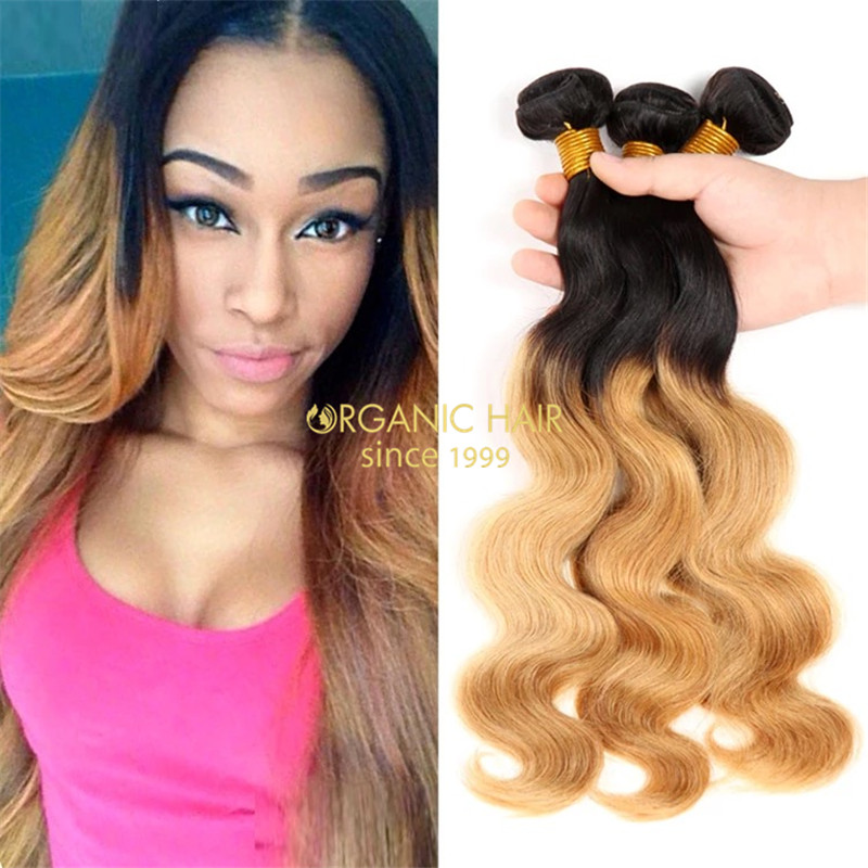 Orgainc natural hair extensions virgin hair