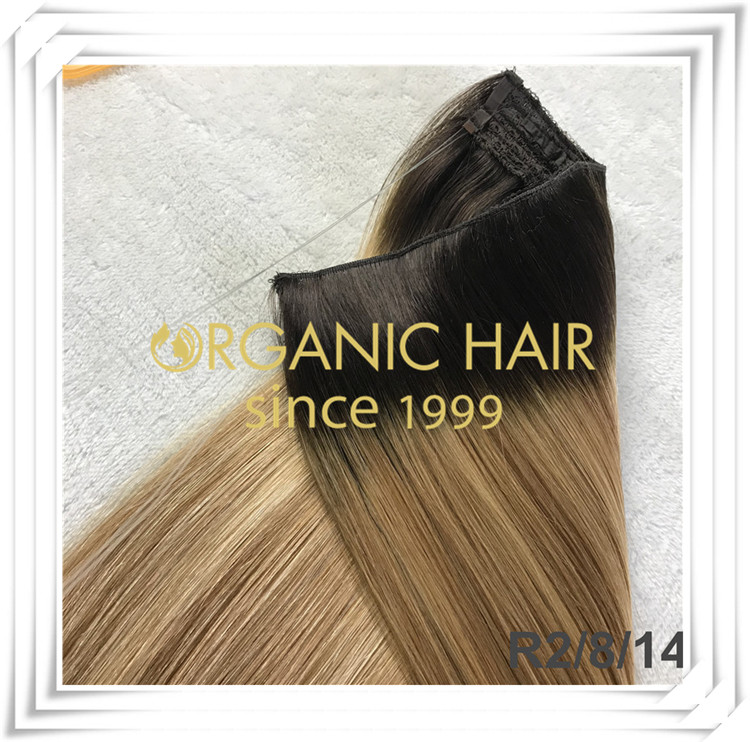 Custom color flip in halo hair extension C026