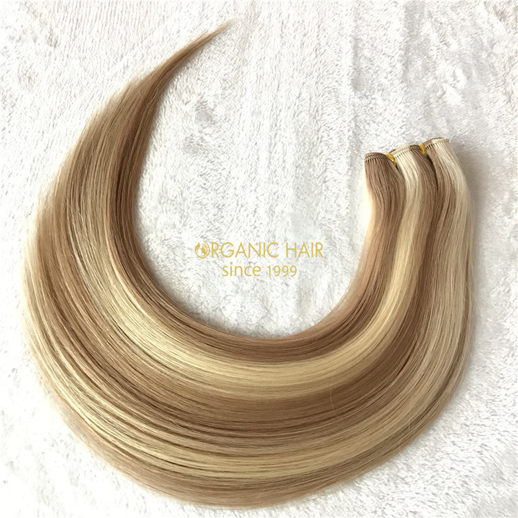 Wholesal virgin single donor human handtied weft V01