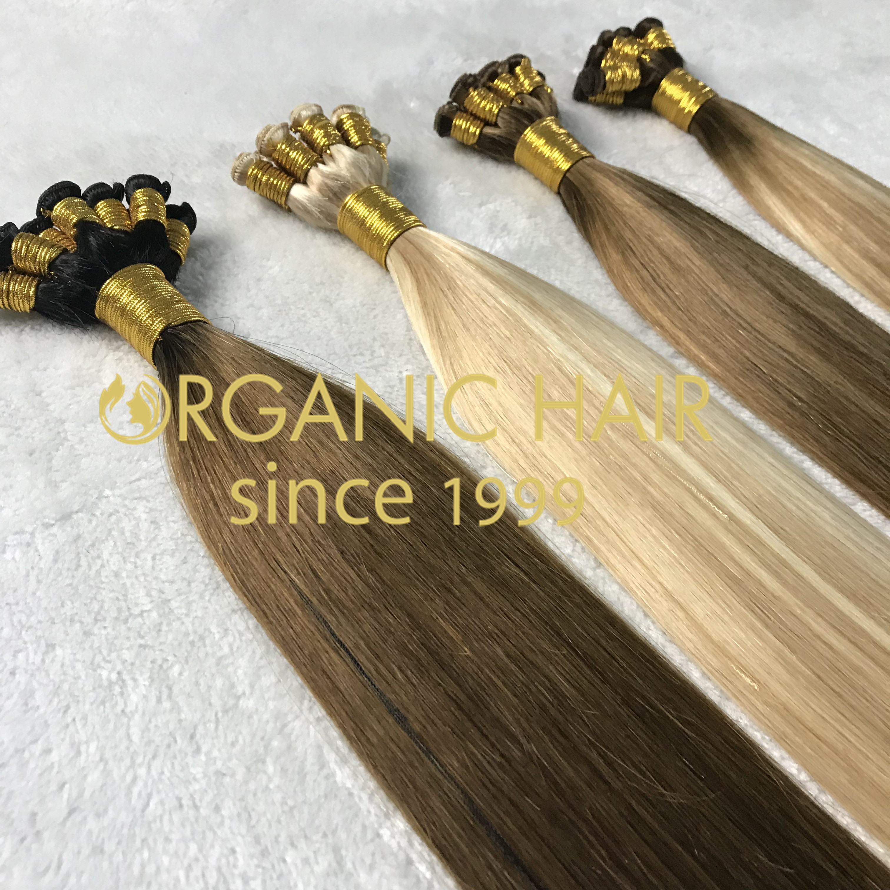 Fashion colour Hand-tied extensions  H246