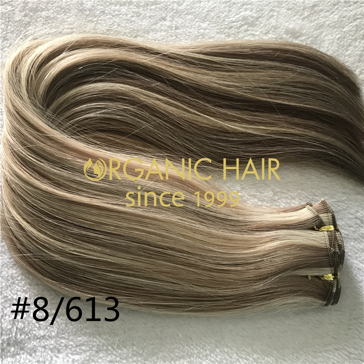 Popular hand tied weft extensions with wholesale price H316 Organic hair