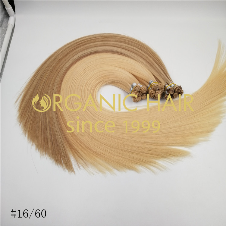 High-quality hand tied weft Hair Extensions Supplier rb117