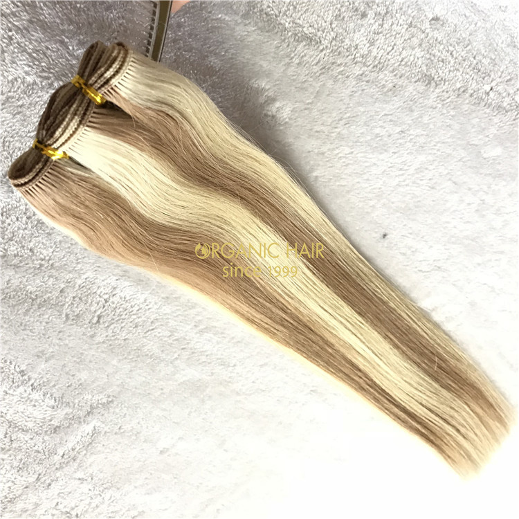 Wholesal virgin single donor human handtied weft V01