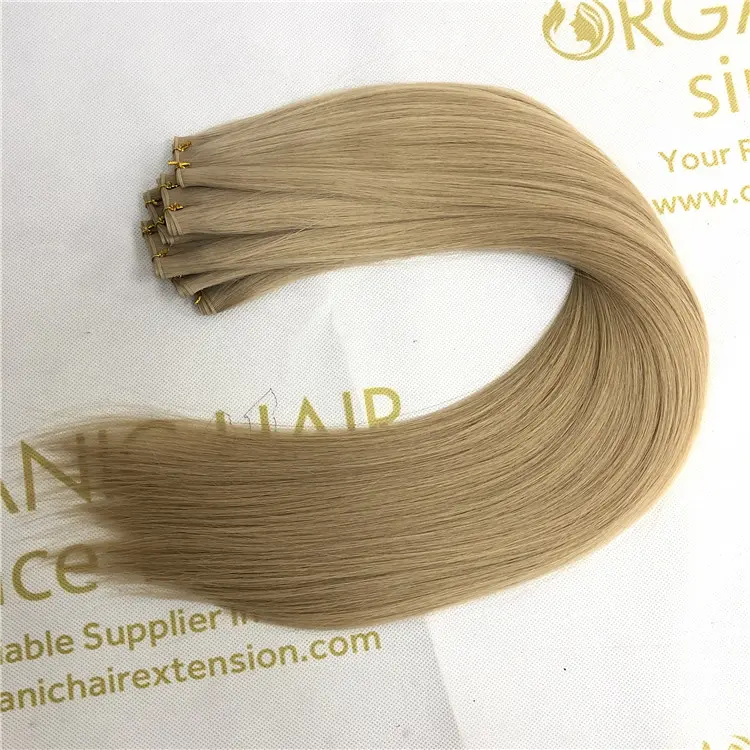 Wholesale highest selling Human genius weft hair extensions and customized color X420