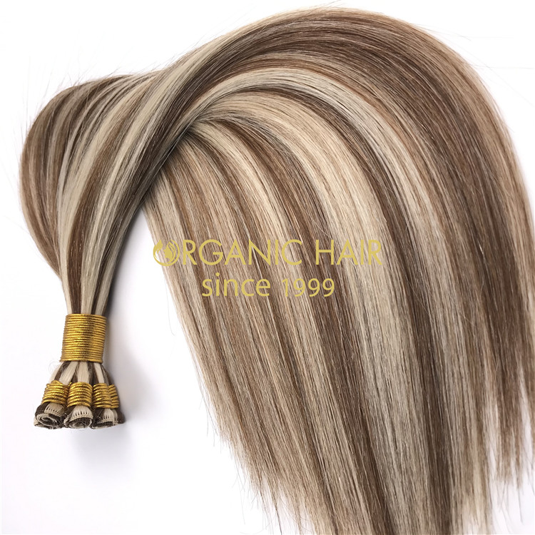 Wholesale hand tied wefts hair extensions X295