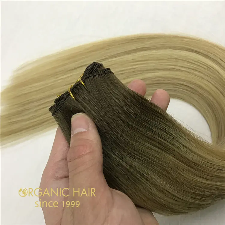 human-remy-hand-tied-weft.webp