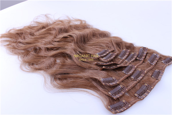 wholesale clip in human hair extensions online shop - Organic hair