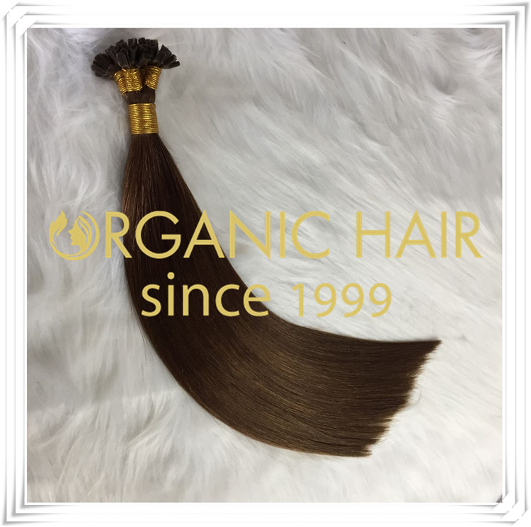 Pre bonded #4/6 U tip hair extension C055