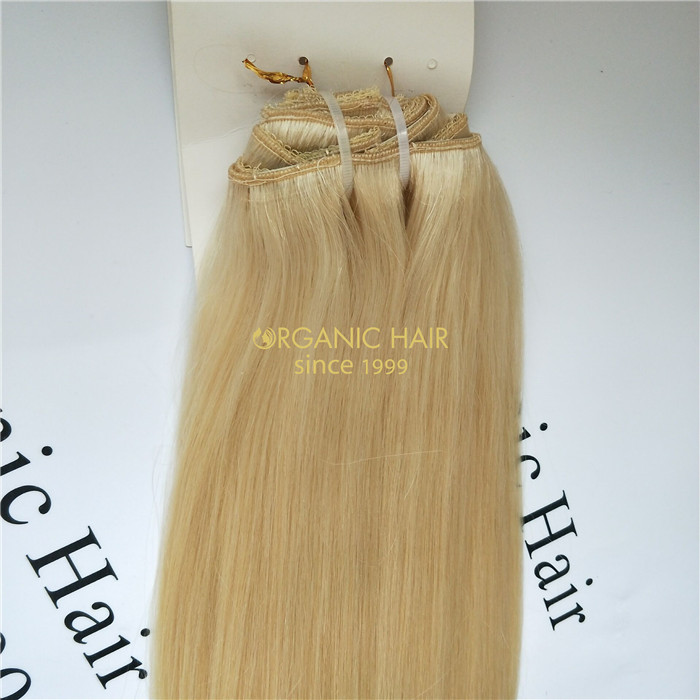 Wholesale best human clip in hair extensions V03